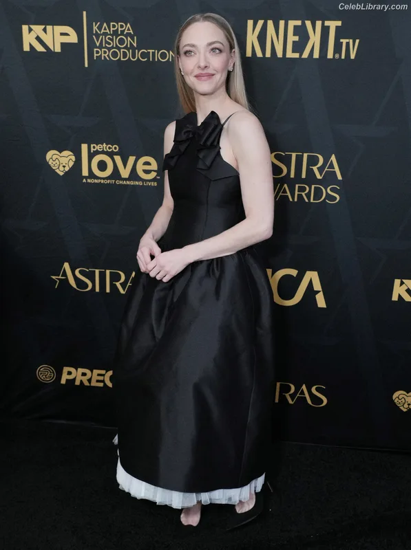 Amanda Seyfried photo 24 of 1296