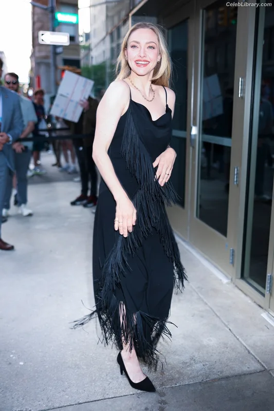Amanda Seyfried photo 17 of 1296