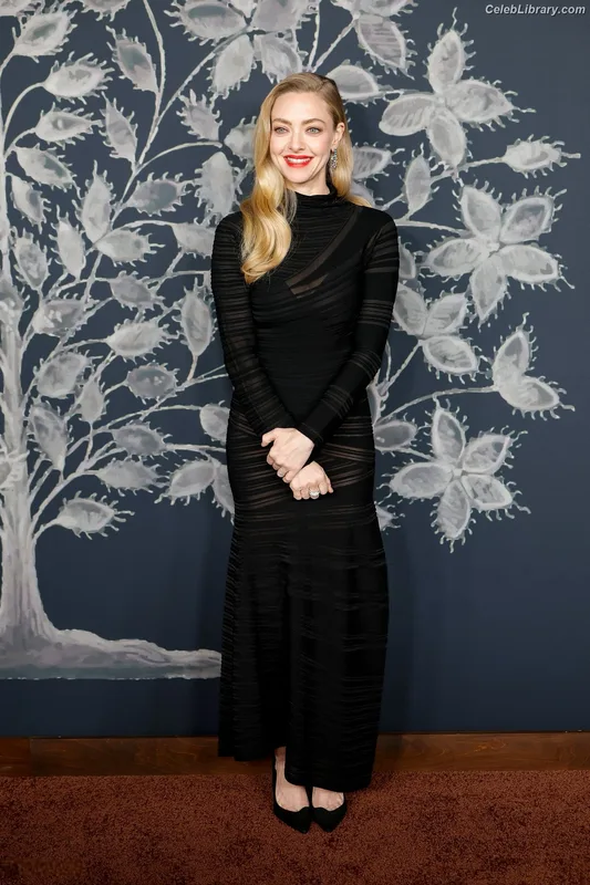 Amanda Seyfried photo 24 of 1296