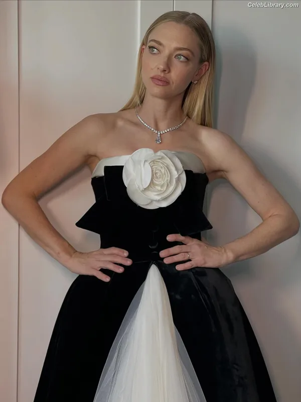 Amanda Seyfried photo 6 of 1296