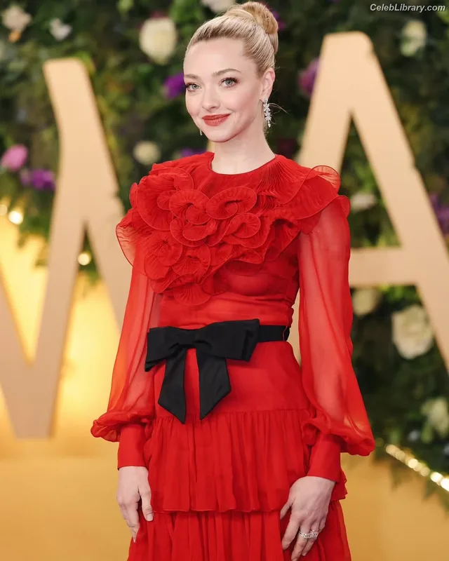 Amanda Seyfried photo 2 of 1296