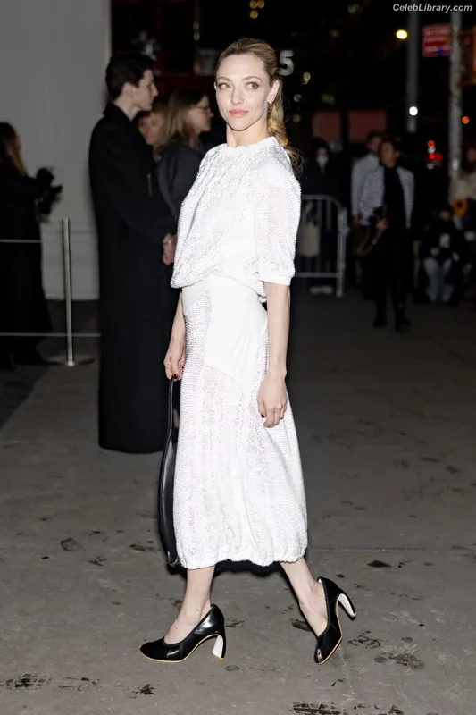 Amanda Seyfried photo 15 of 1296