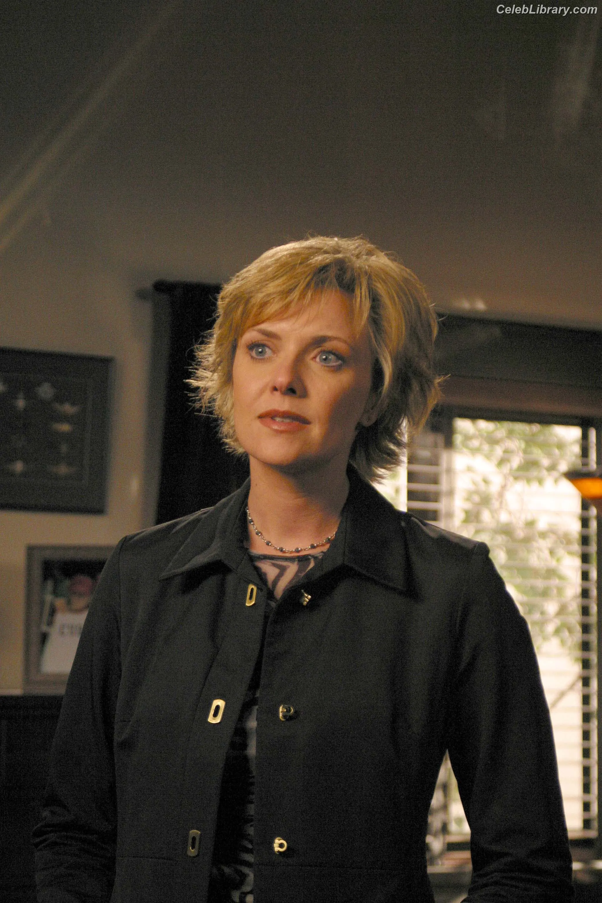 Amanda Tapping photo 12 of 72