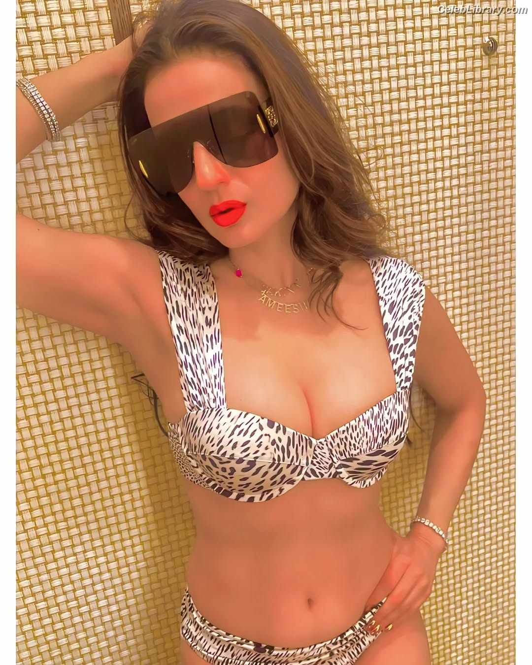 Ameesha Patel photo 24 of 52