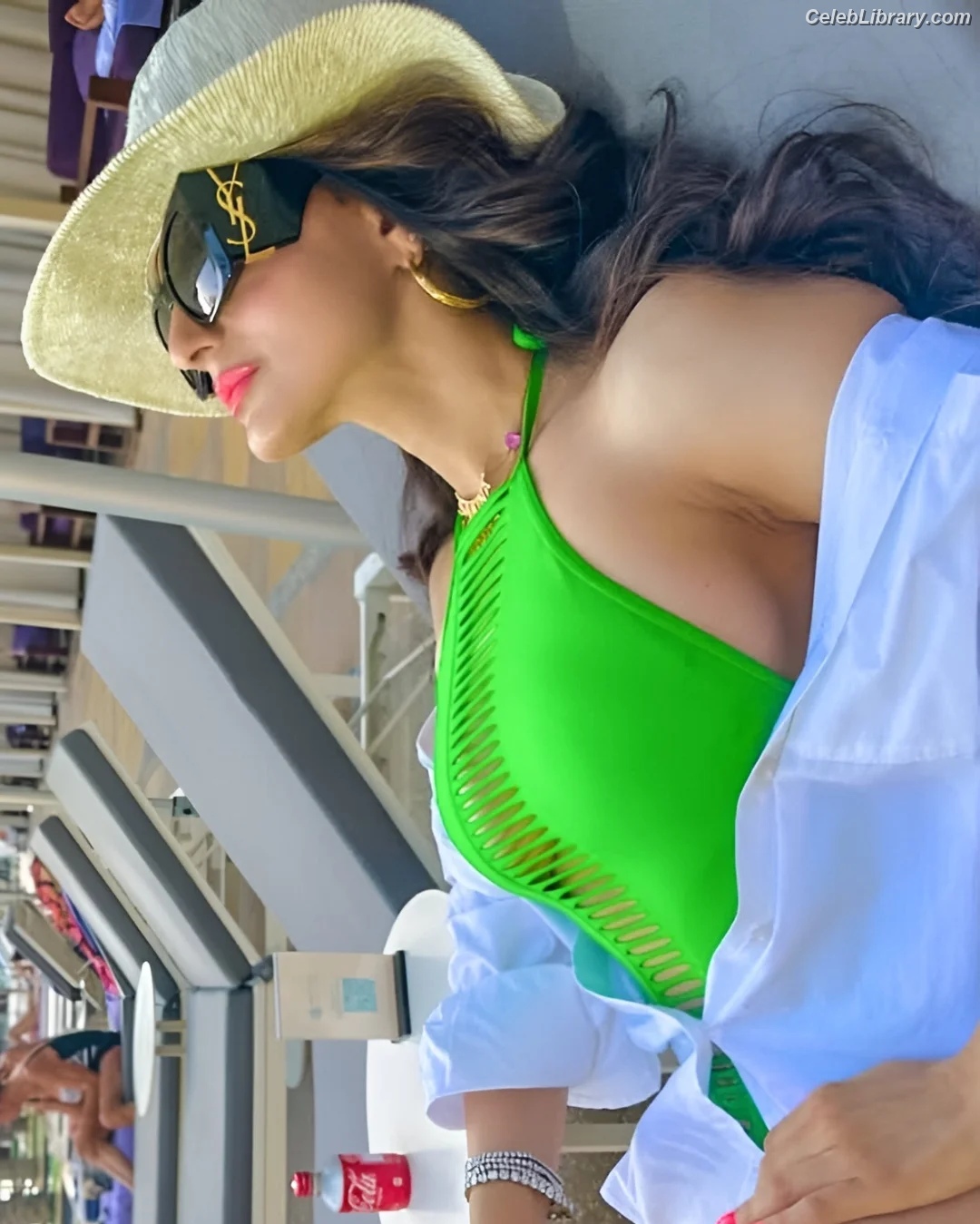 Ameesha Patel photo 20 of 52