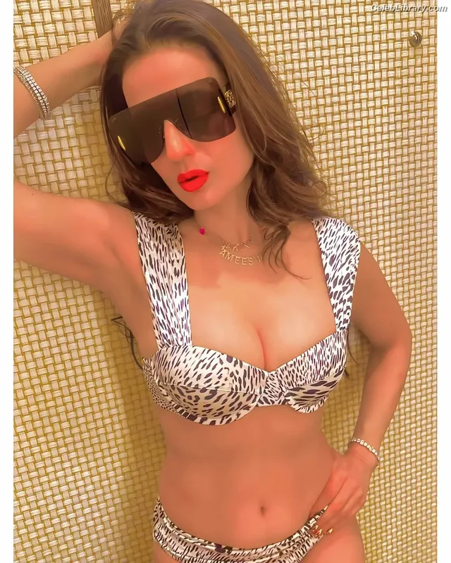Ameesha Patel photo 24 of 52