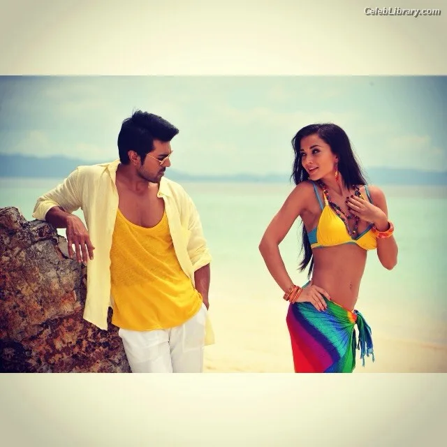 Amy Jackson photo 3 of 156