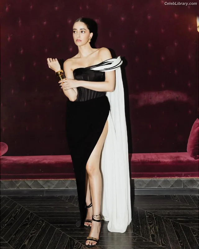 Ananya Pandey photo 5 of 293