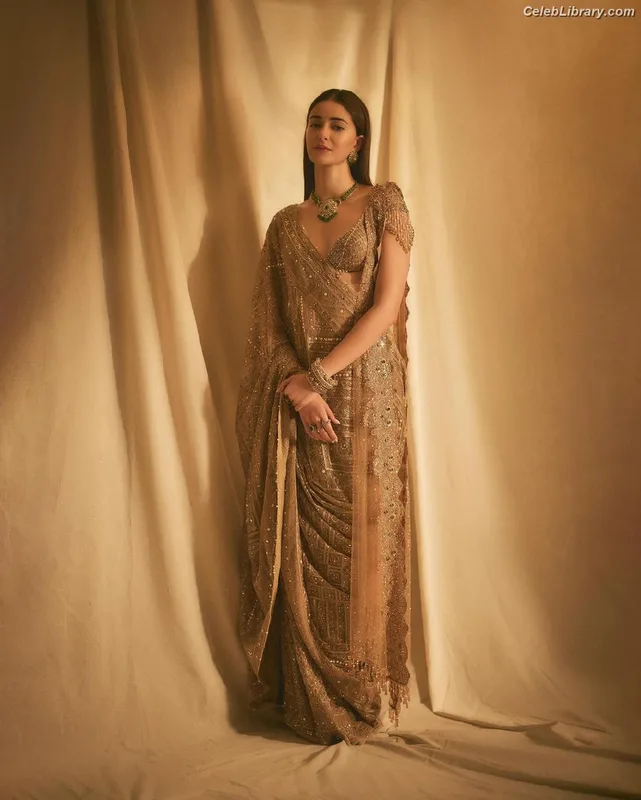 Ananya Pandey photo 19 of 293