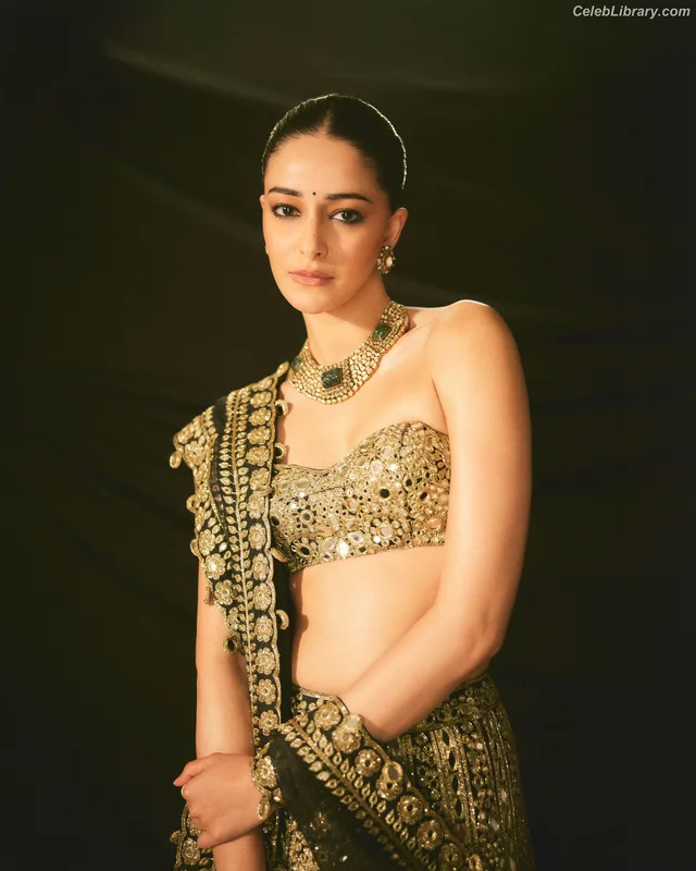 Ananya Pandey photo 19 of 293