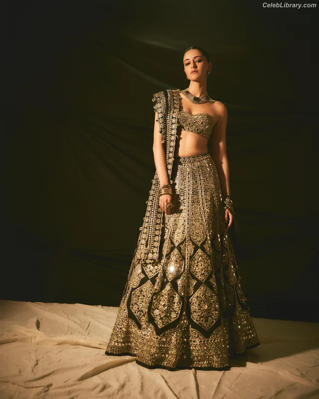 Ananya Pandey photo 11 of 293
