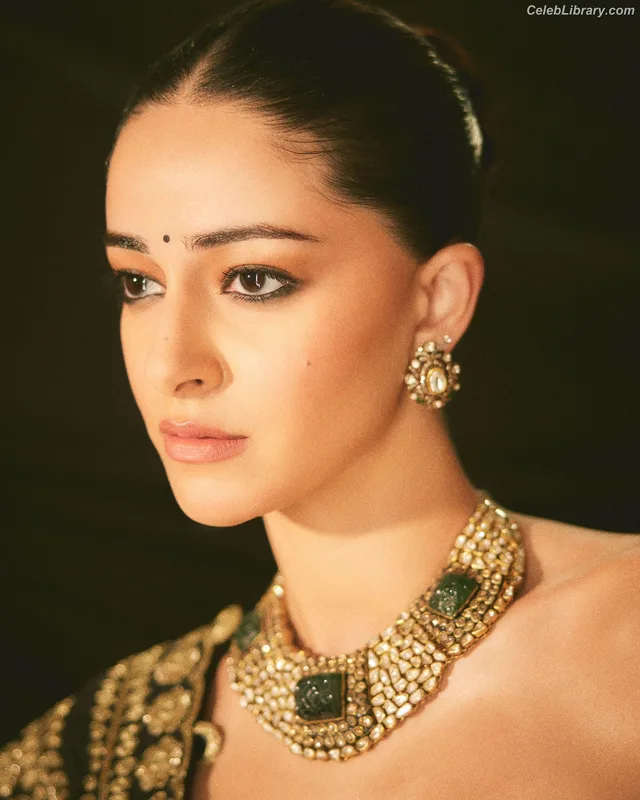 Ananya Pandey photo 21 of 293