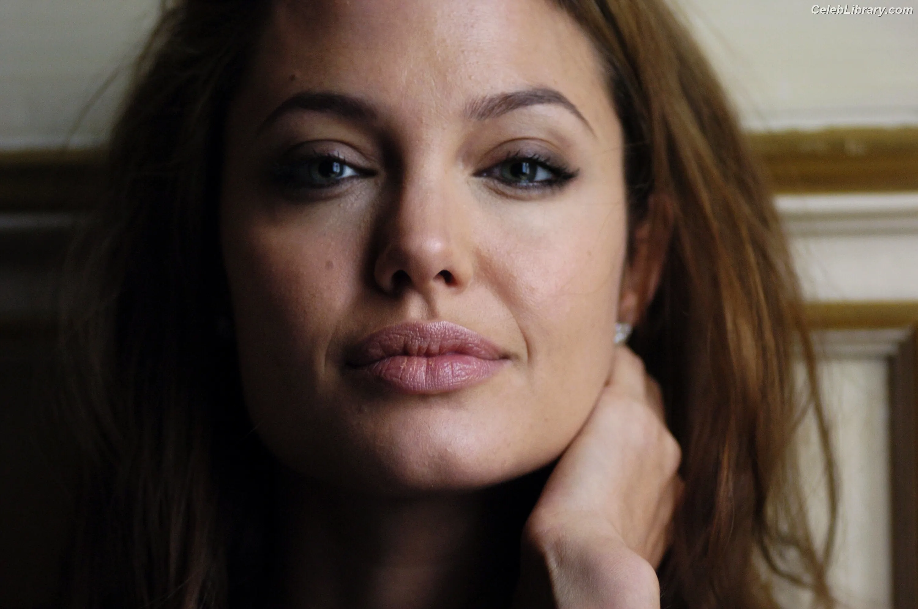 Angelina Jolie photo 2 of 270