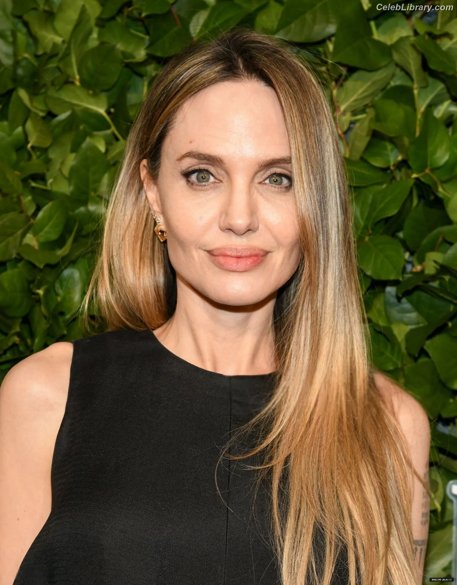 Angelina Jolie photo 7 of 270