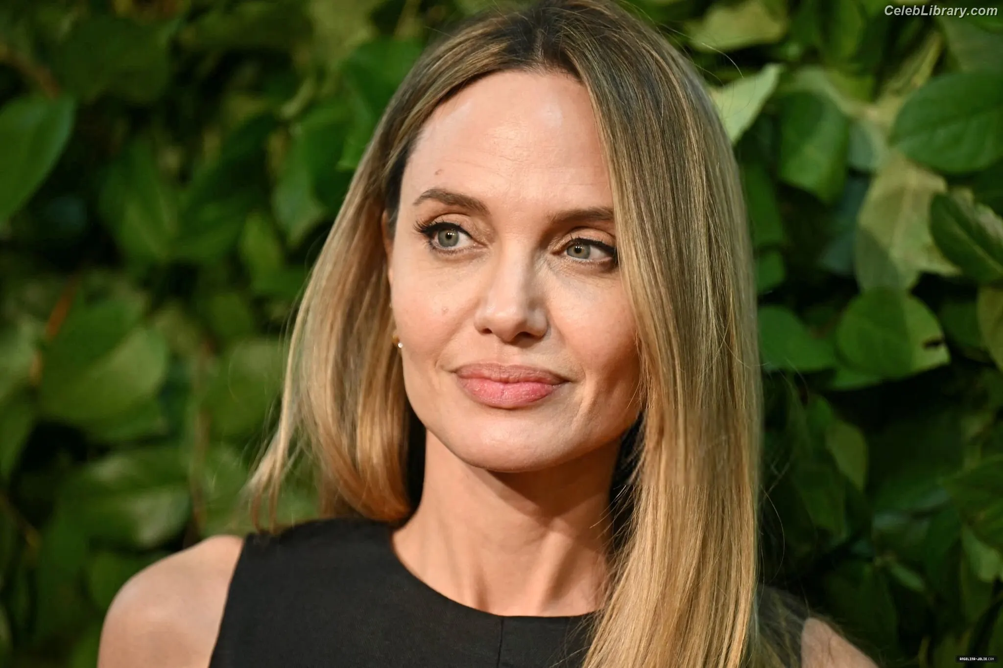 Angelina Jolie photo 11 of 270