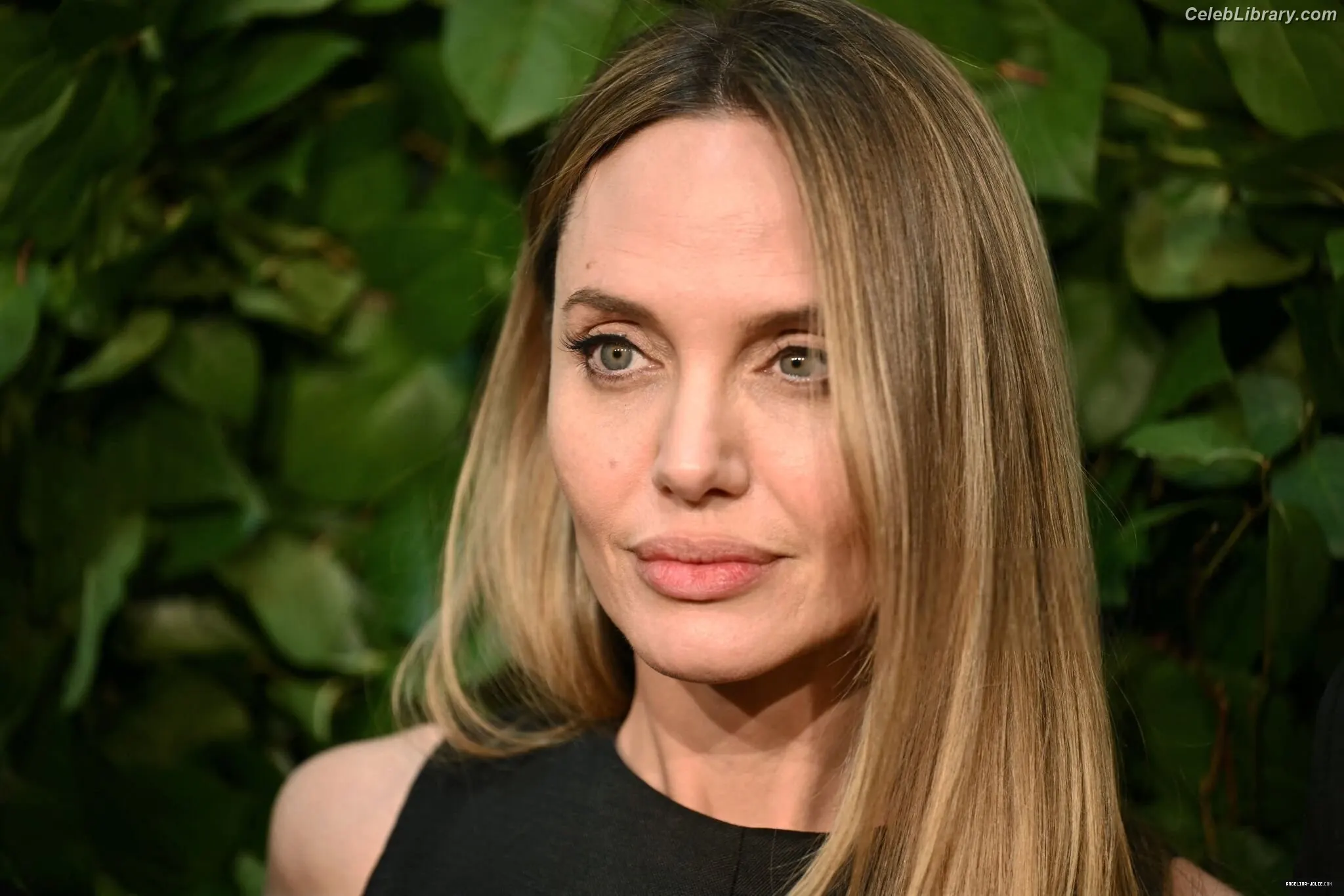 Angelina Jolie photo 12 of 270