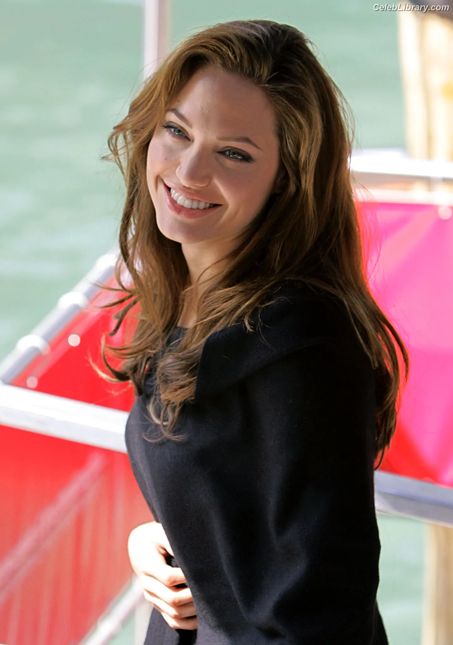 Angelina Jolie photo 13 of 270