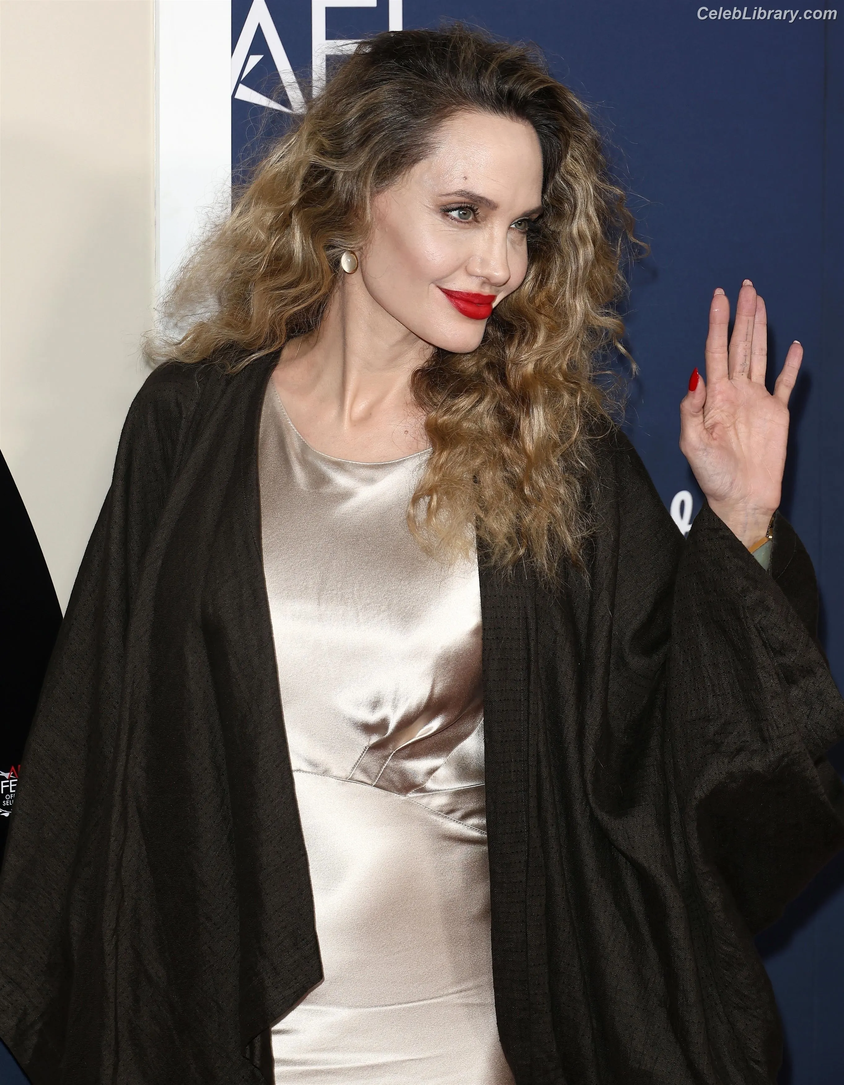 Angelina Jolie photo 3 of 270