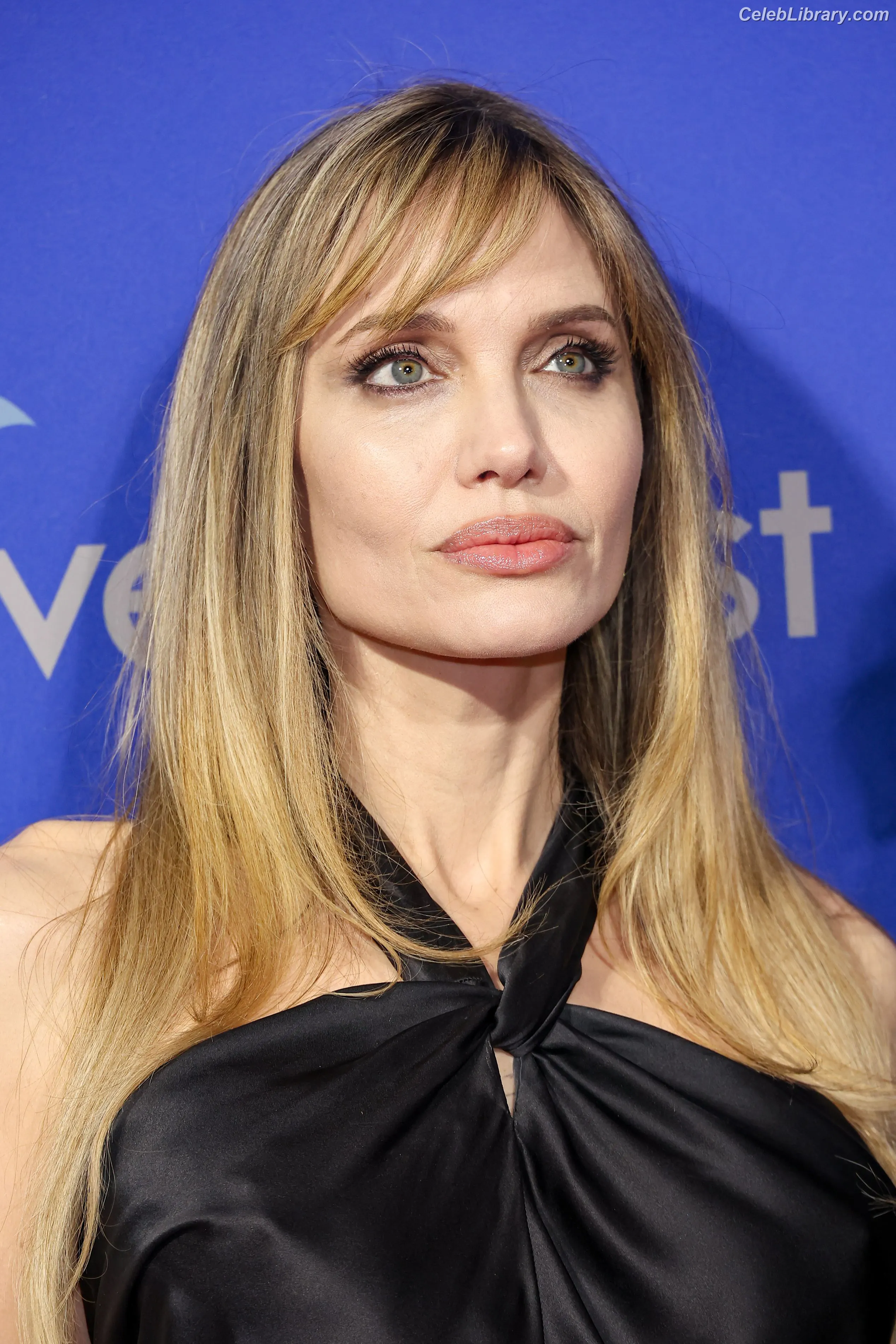 Angelina Jolie photo 22 of 270
