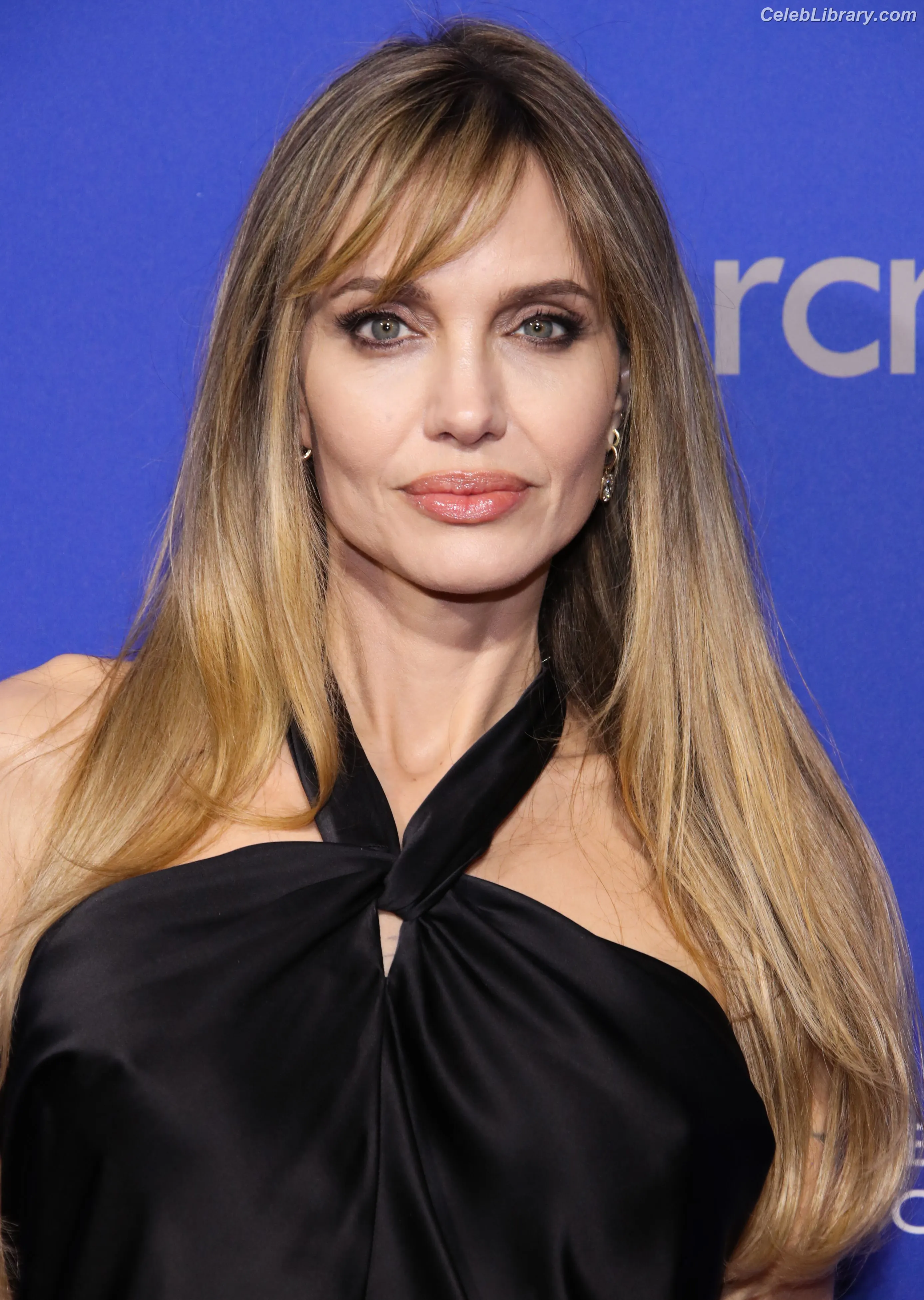 Angelina Jolie photo 7 of 270