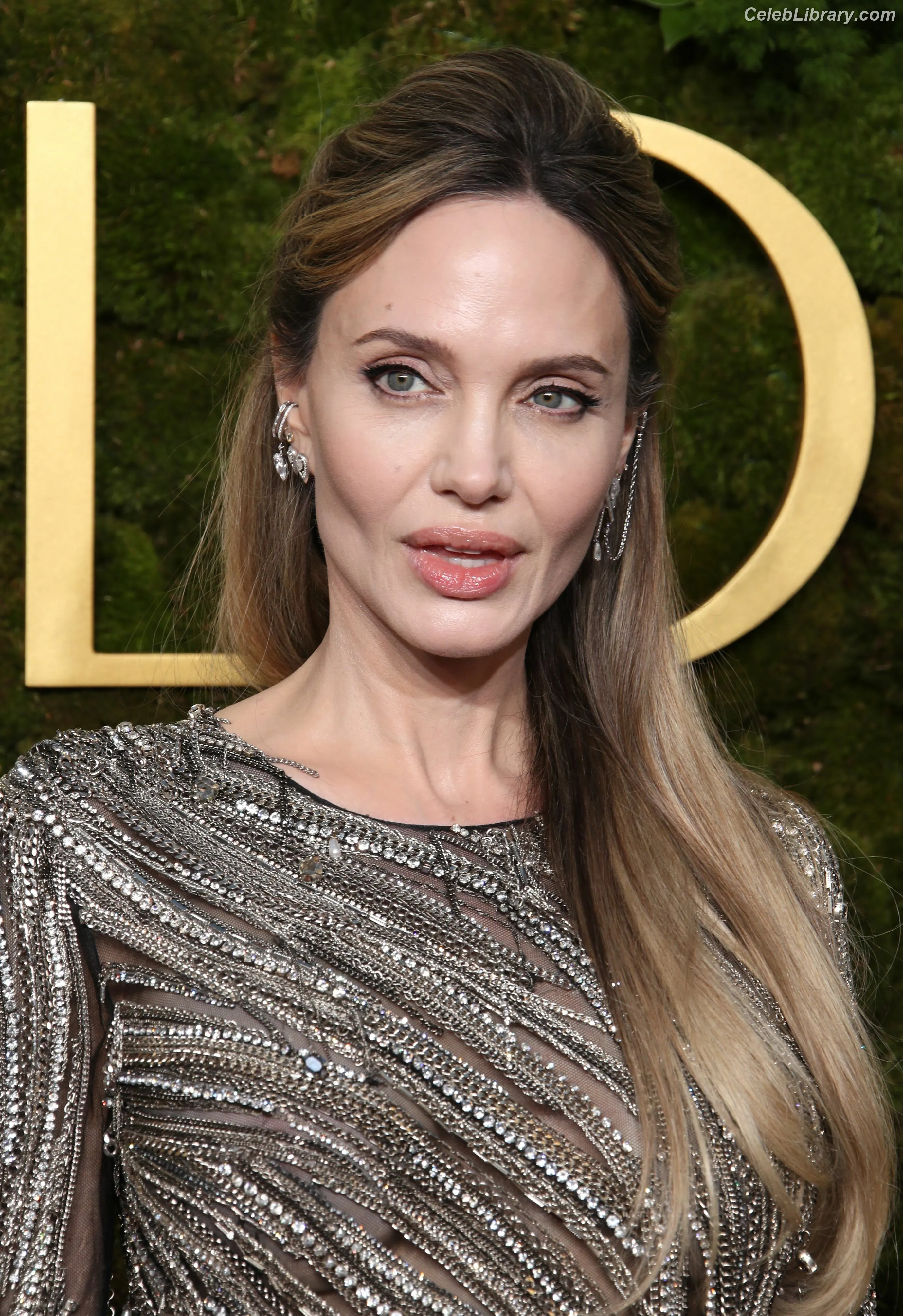 Angelina Jolie photo 20 of 270