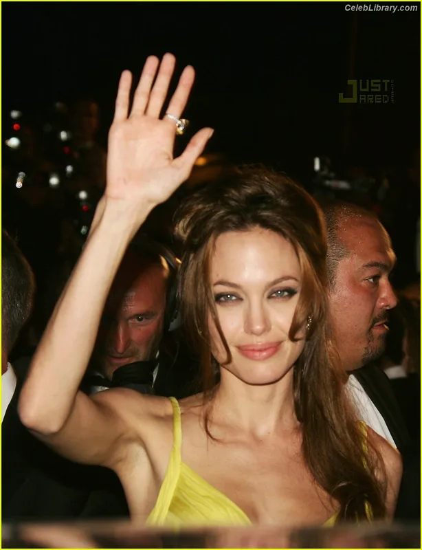 Angelina Jolie photo 4 of 611