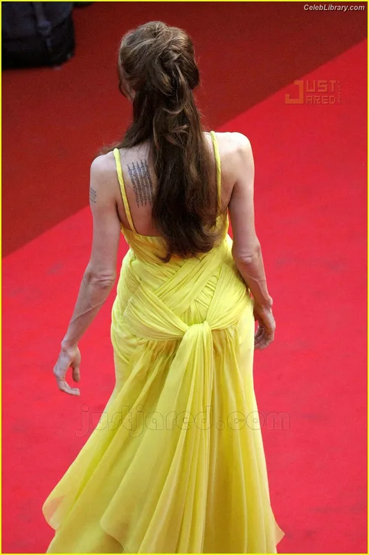 Angelina Jolie photo 8 of 611