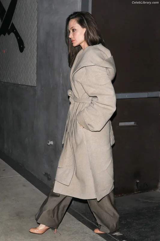 Angelina Jolie photo 5 of 611
