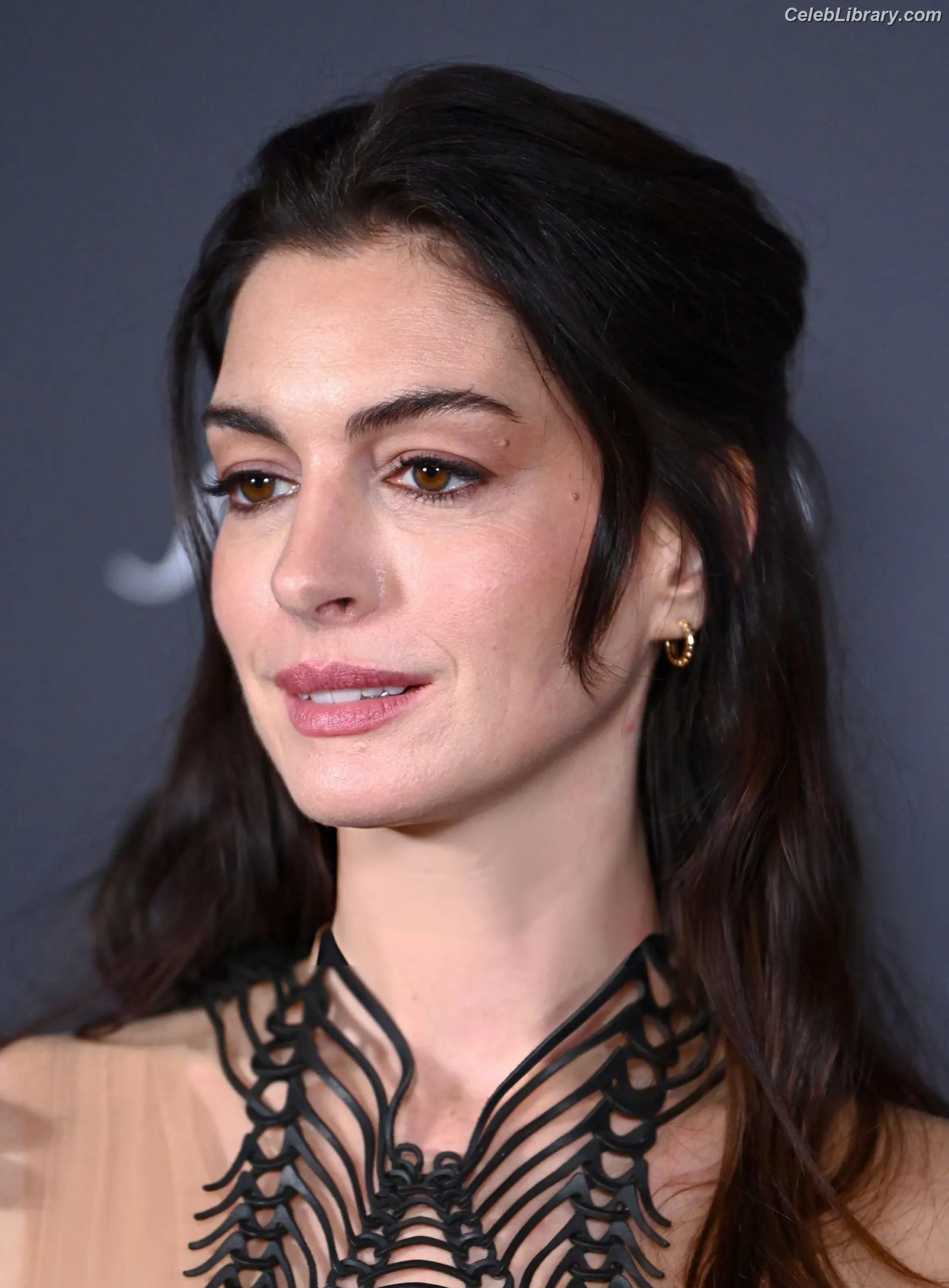 Anne Hathaway photo 1 of 1532