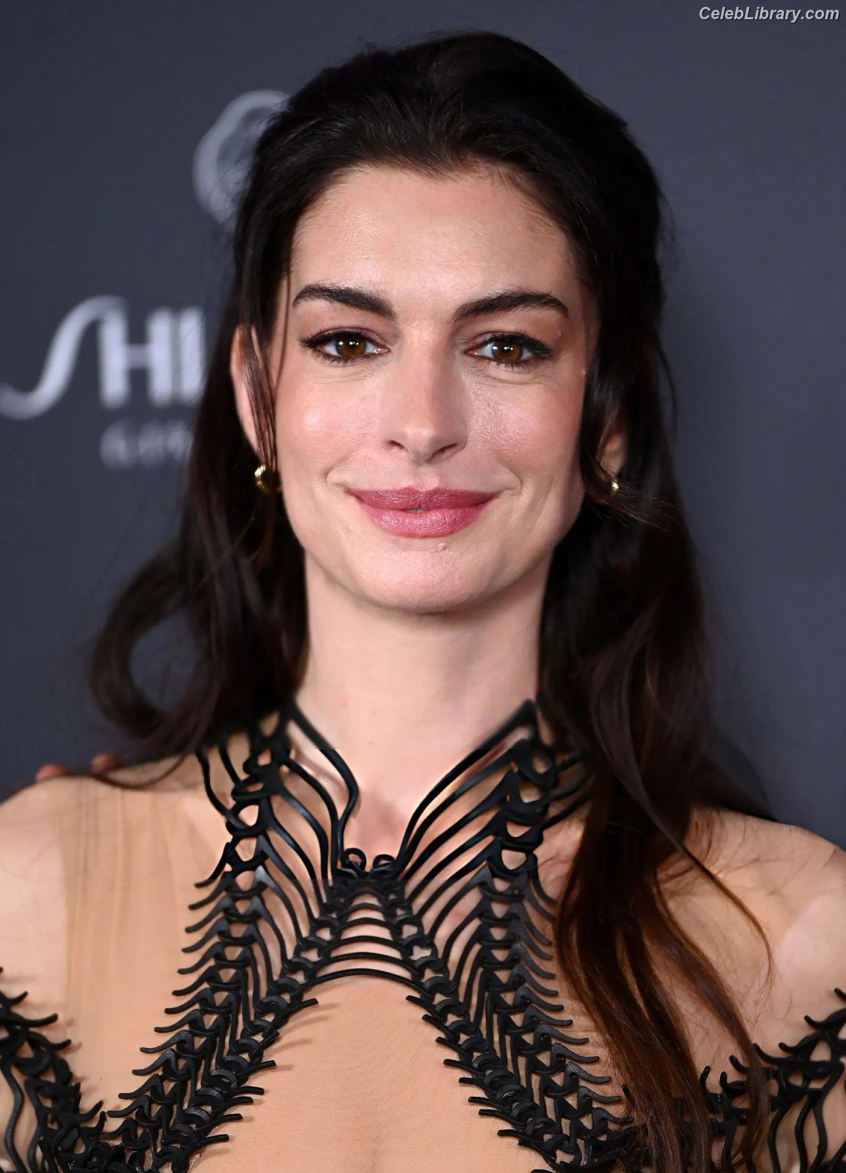 Anne Hathaway photo 5 of 1532