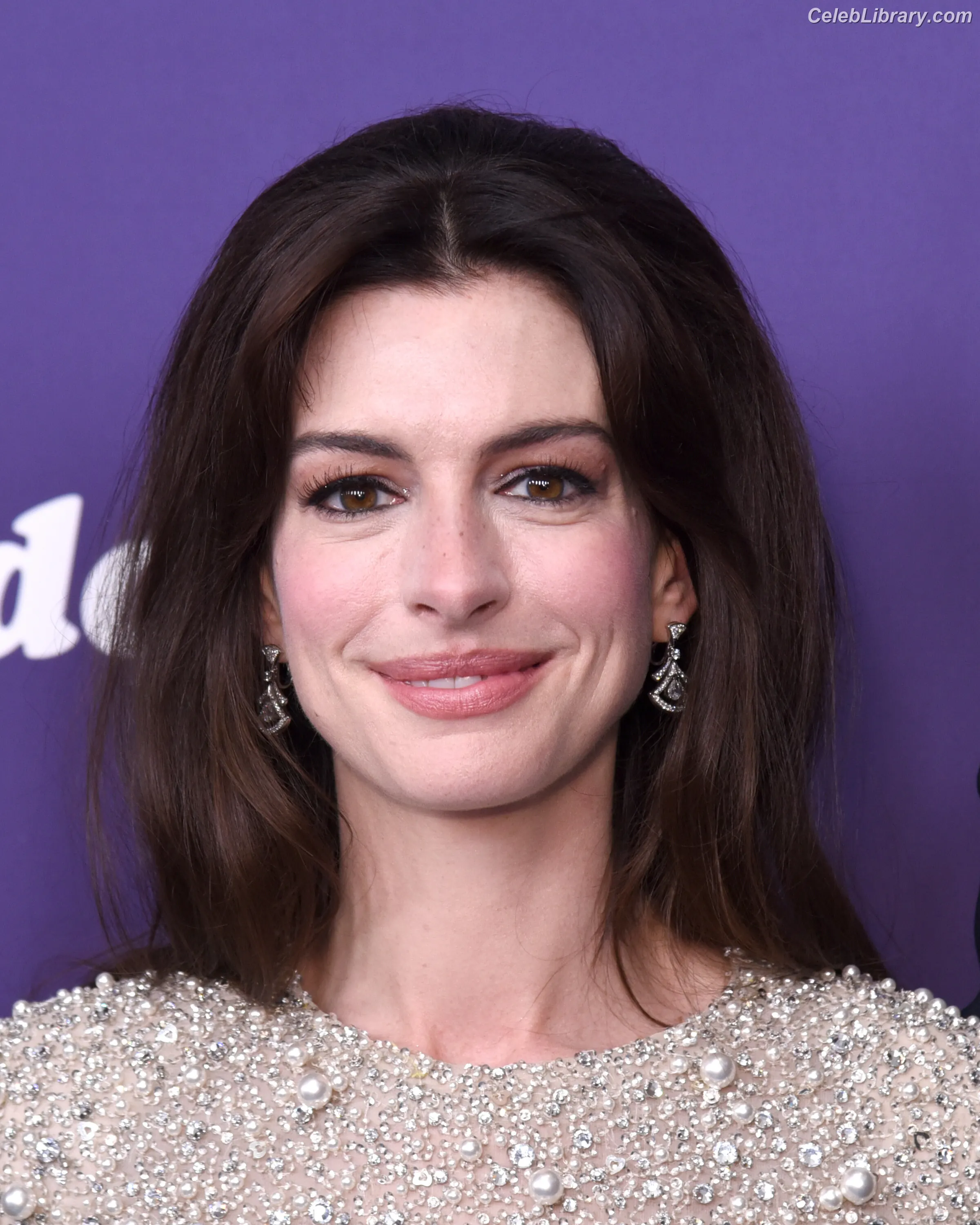 Anne Hathaway photo 13 of 1532