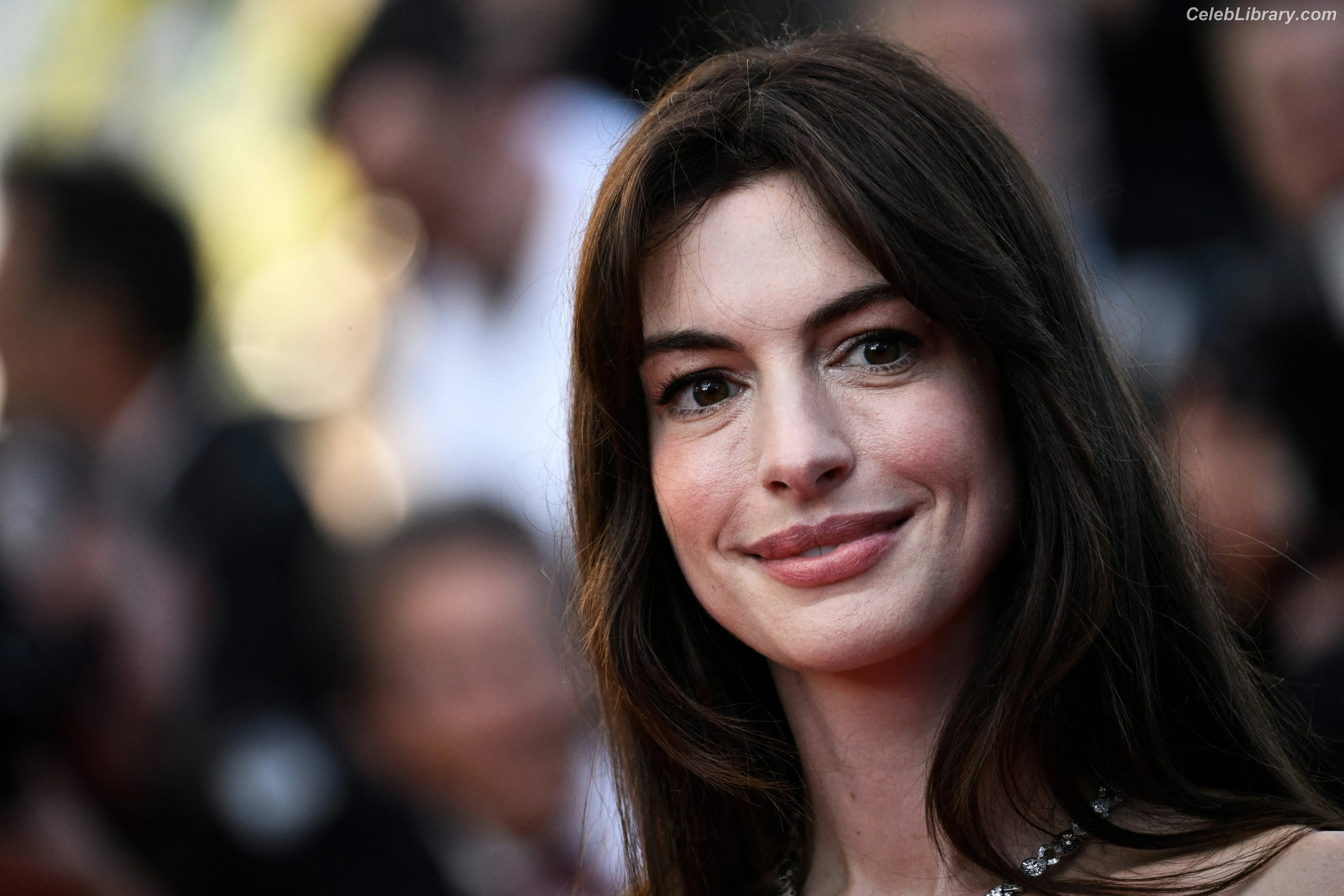 Anne Hathaway photo 1 of 1532