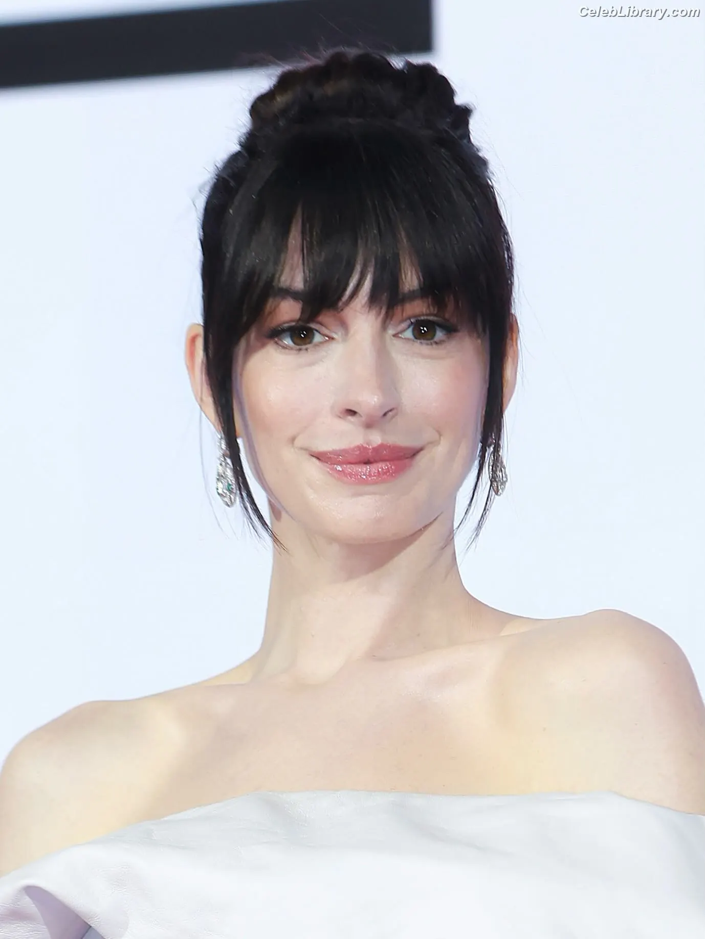 Anne Hathaway photo 1 of 1532