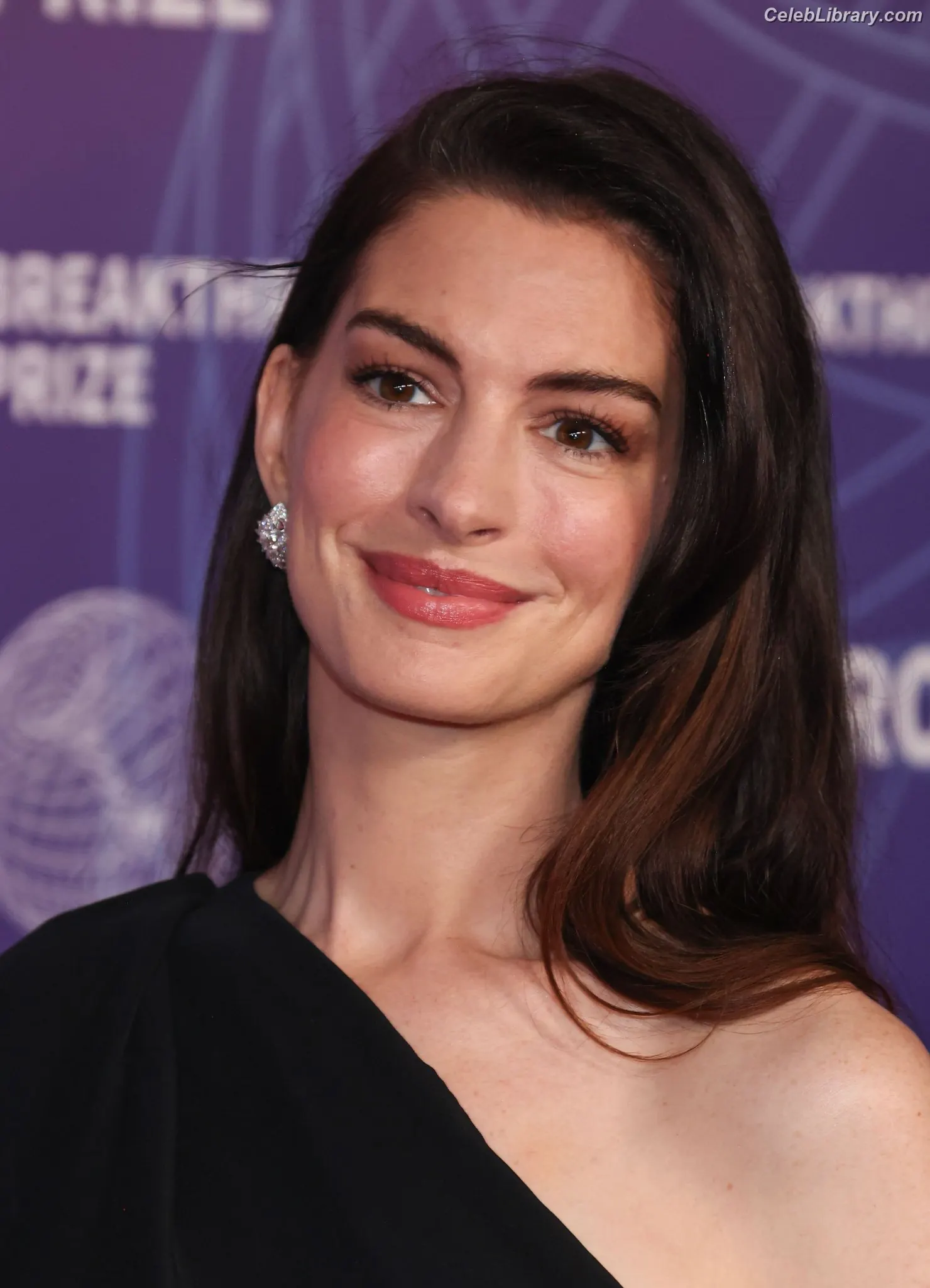 Anne Hathaway photo 13 of 1532