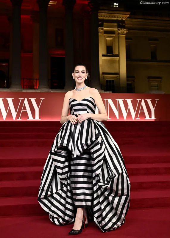 Anne Hathaway photo 15 of 1533