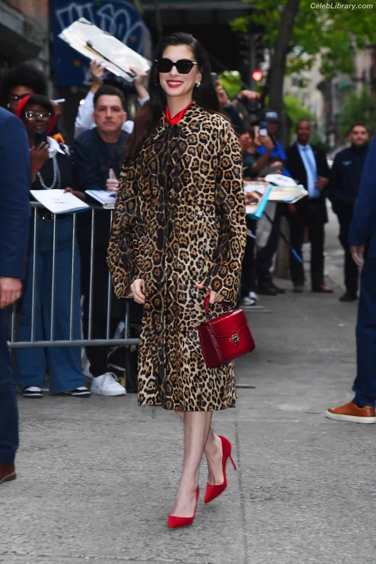 Anne Hathaway photo 12 of 1533