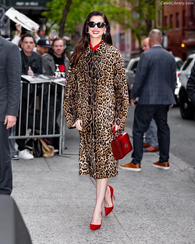 Anne Hathaway photo 15 of 1533