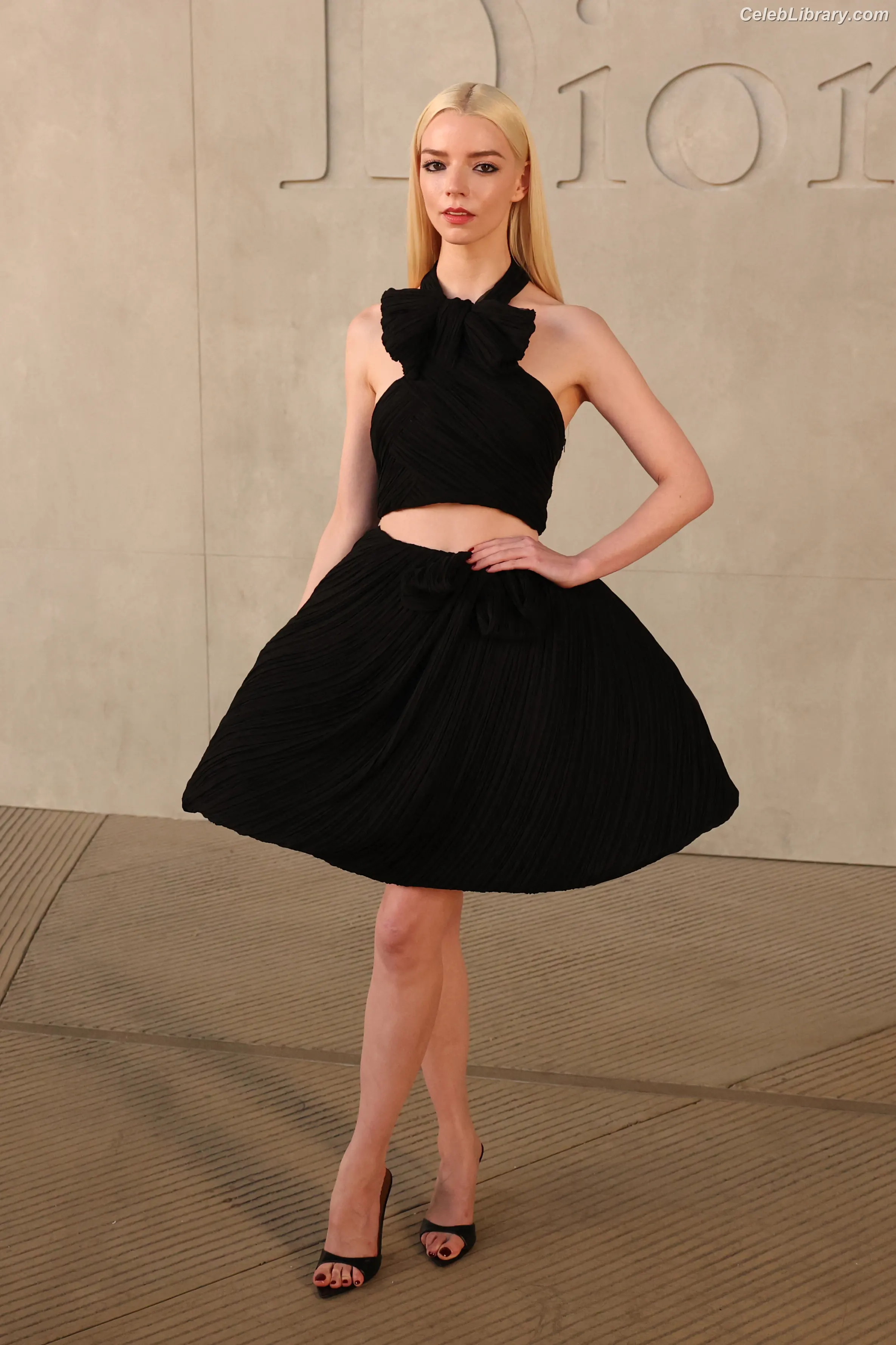 Anya Taylor-Joy photo 14 of 1439