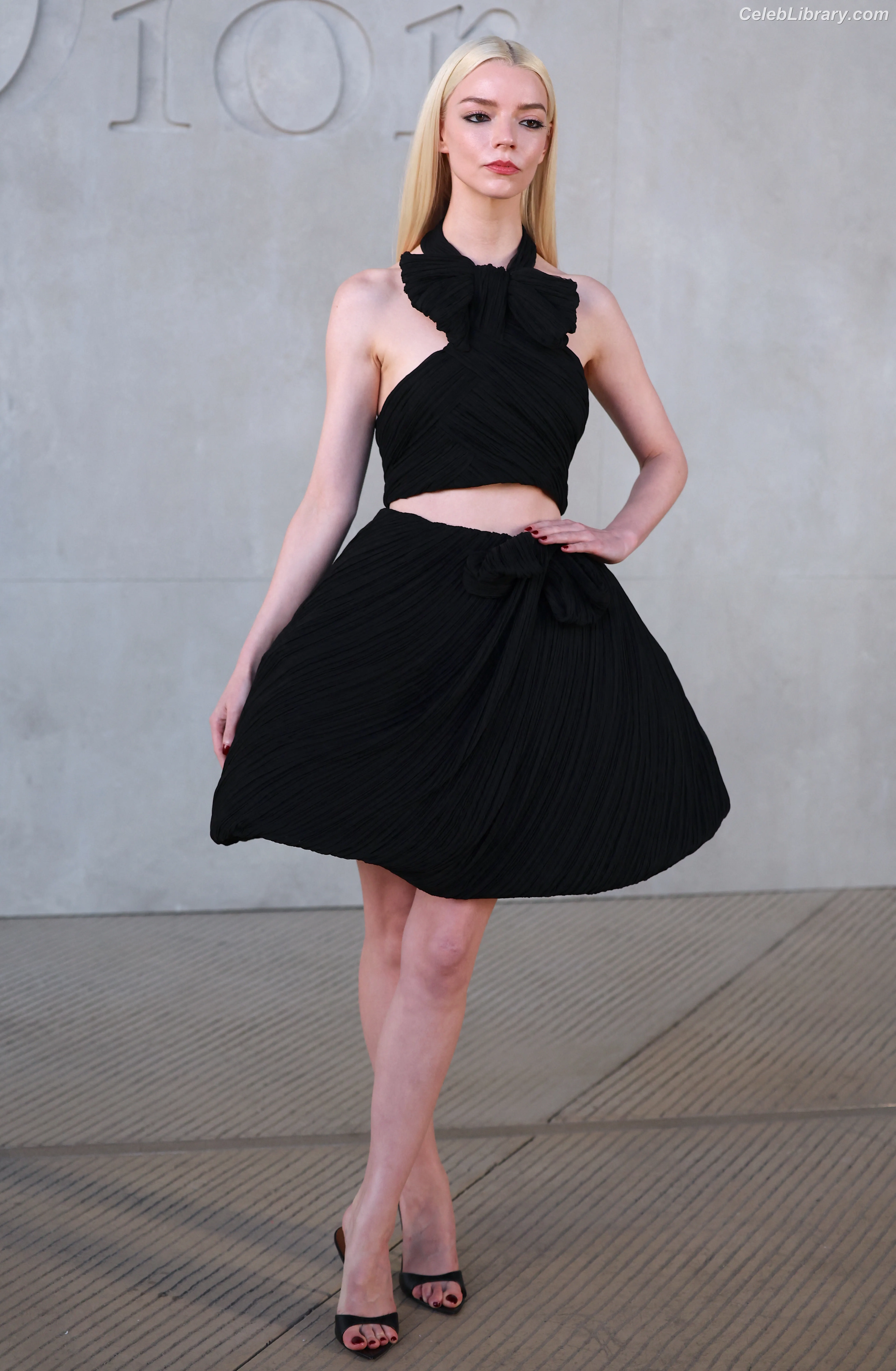Anya Taylor-Joy photo 21 of 1439