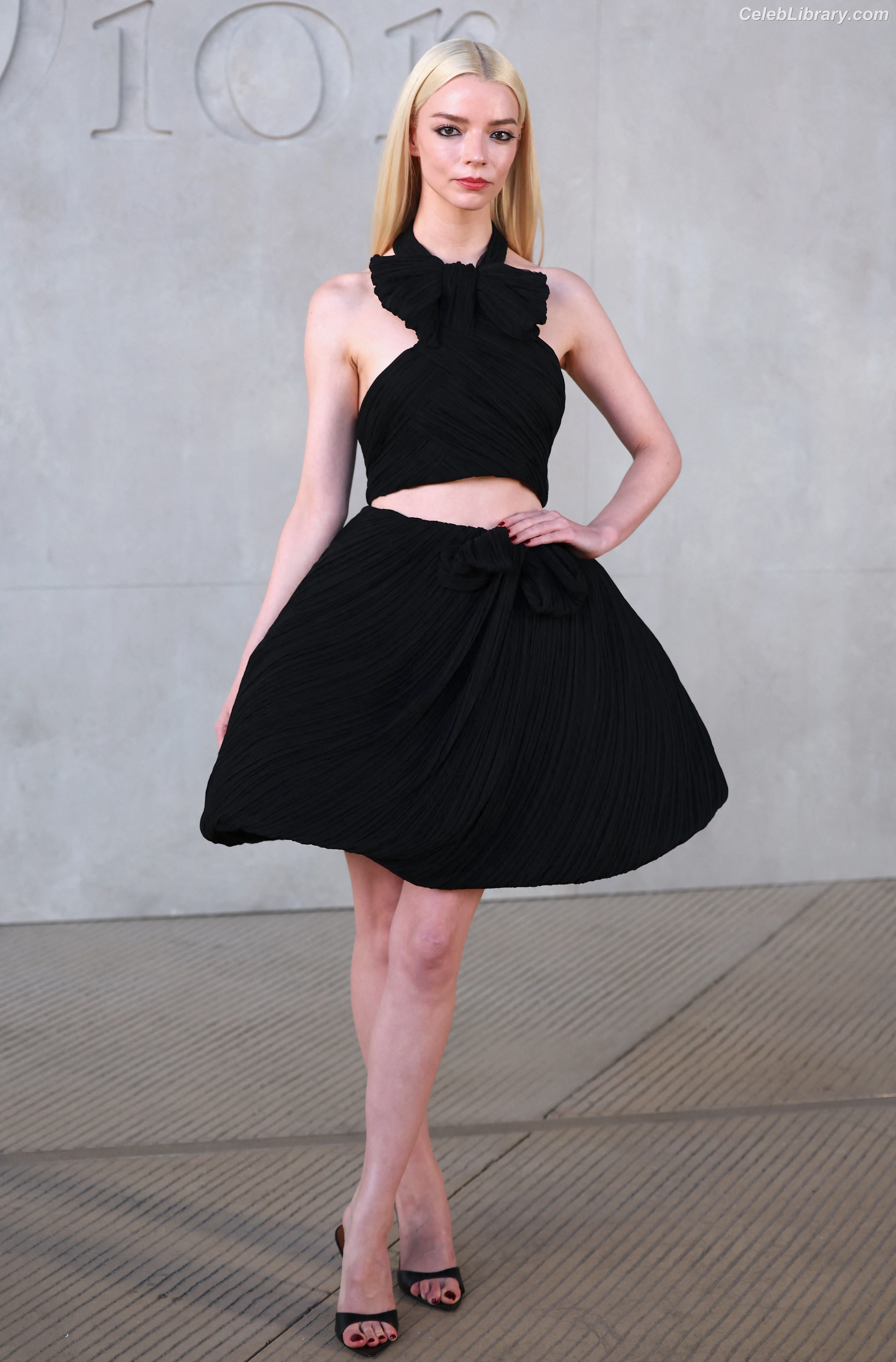 Anya Taylor-Joy photo 22 of 1439