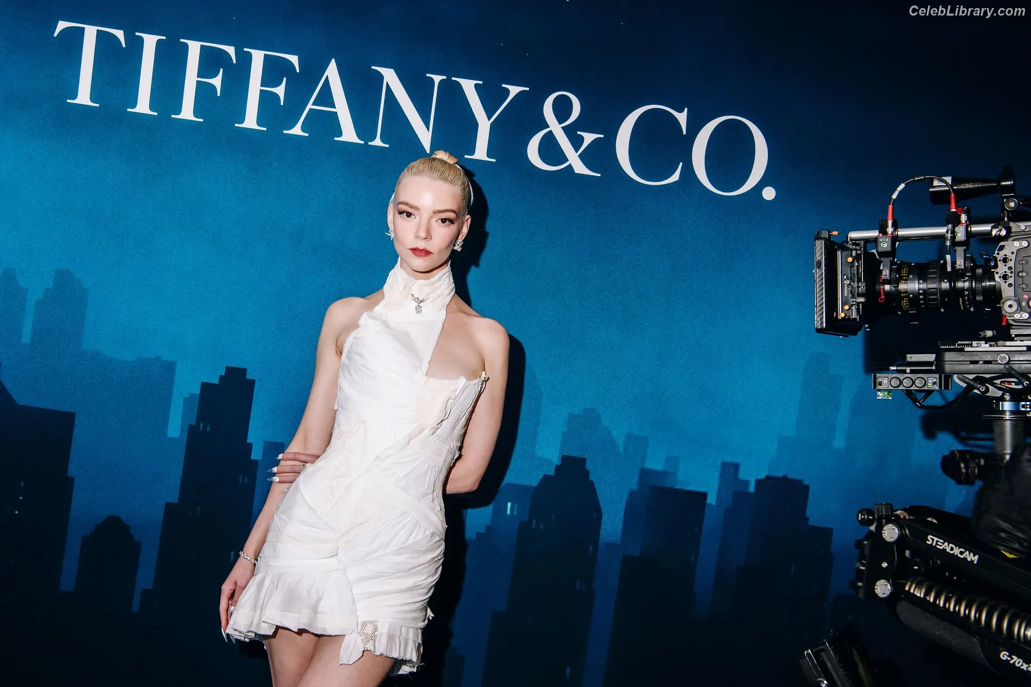 Anya Taylor-Joy photo 7 of 1439