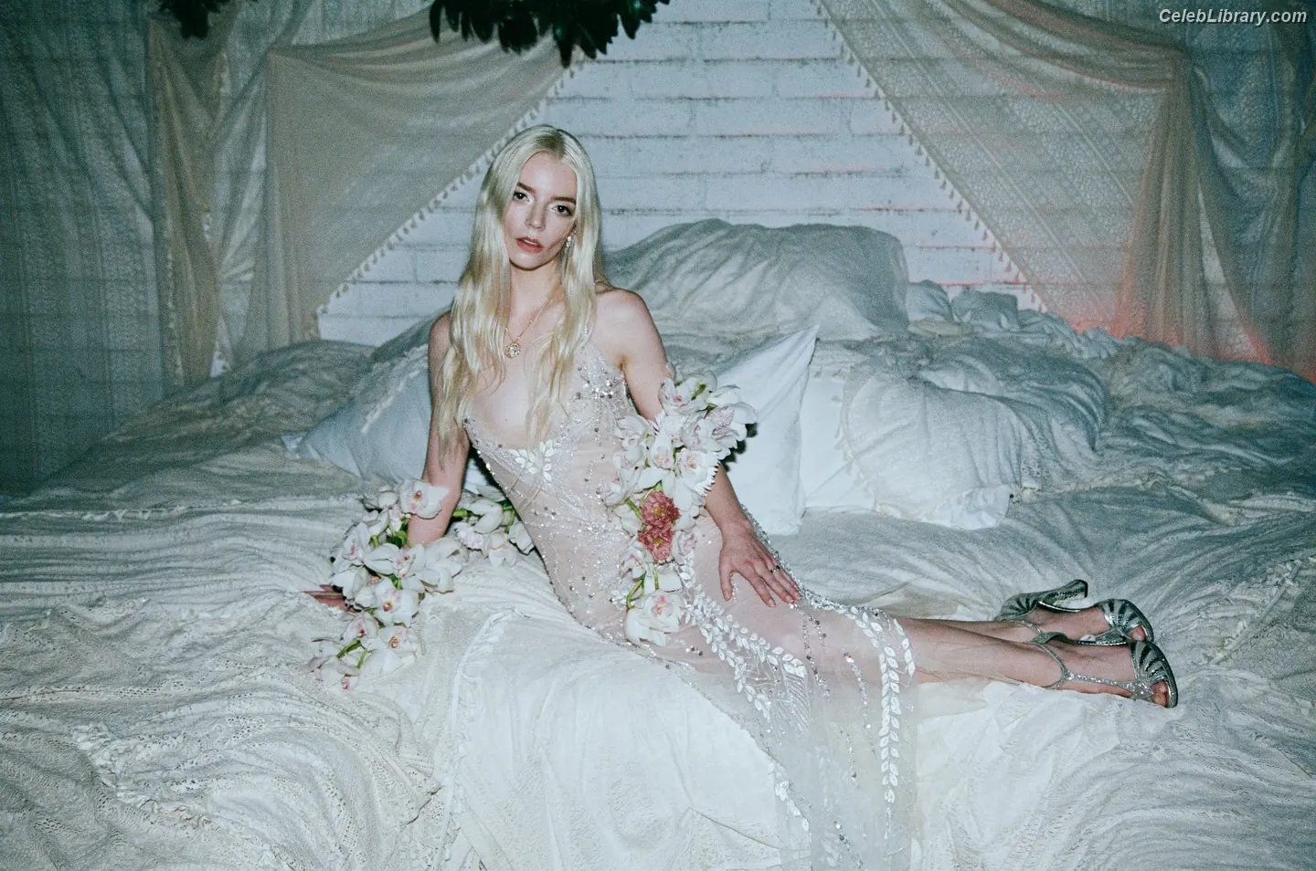 Anya Taylor-Joy photo 22 of 1439