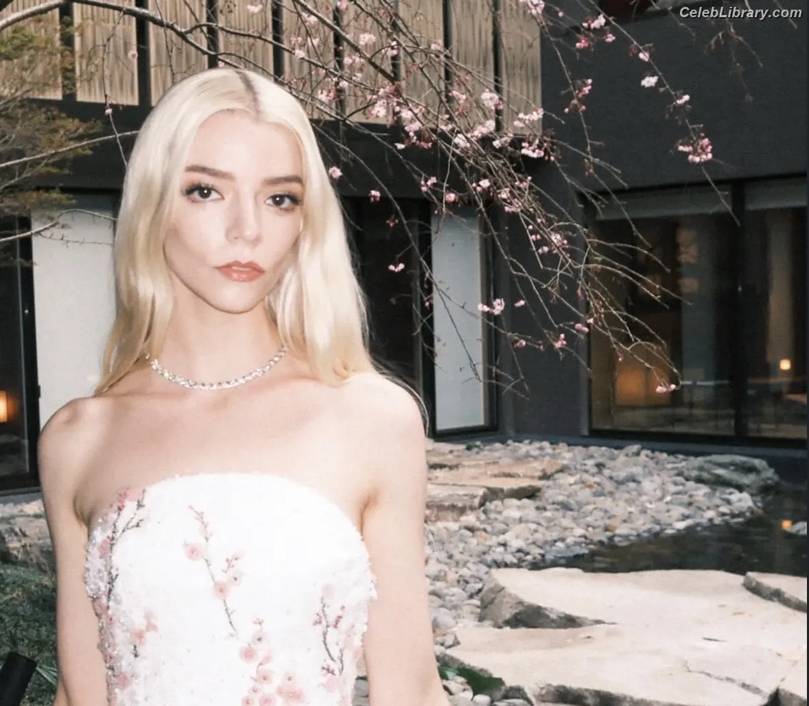 Anya Taylor-Joy photo 16 of 1439
