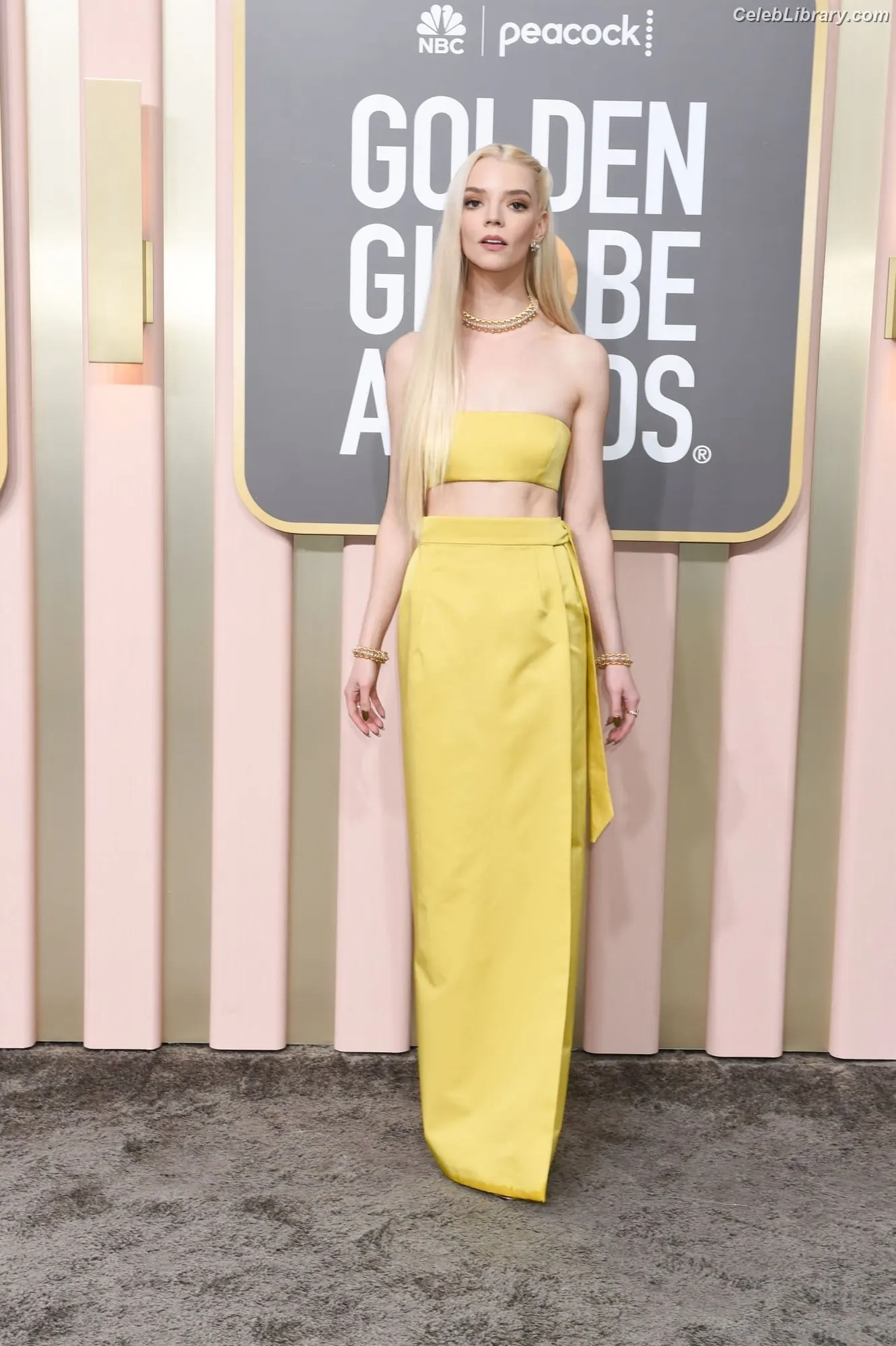 Anya Taylor-Joy photo 4 of 1439