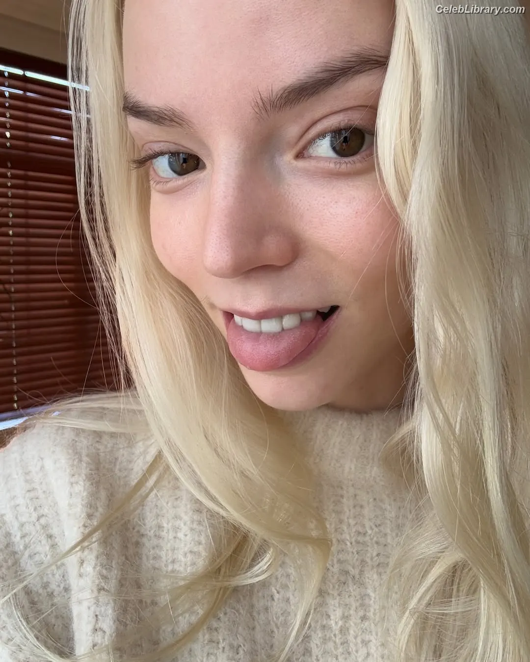 Anya Taylor-Joy photo 24 of 1439