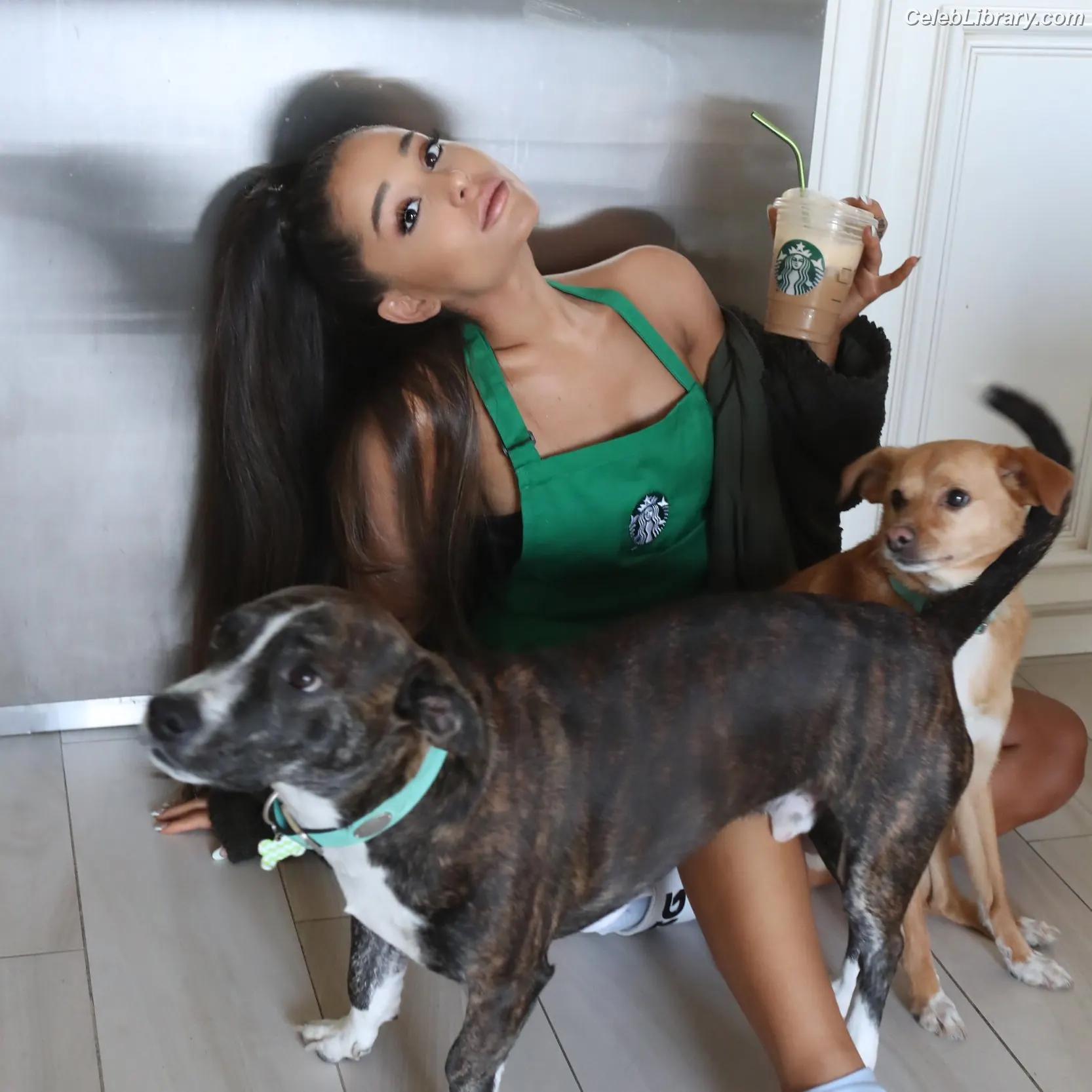 Ariana Grande photo 11 of 3117