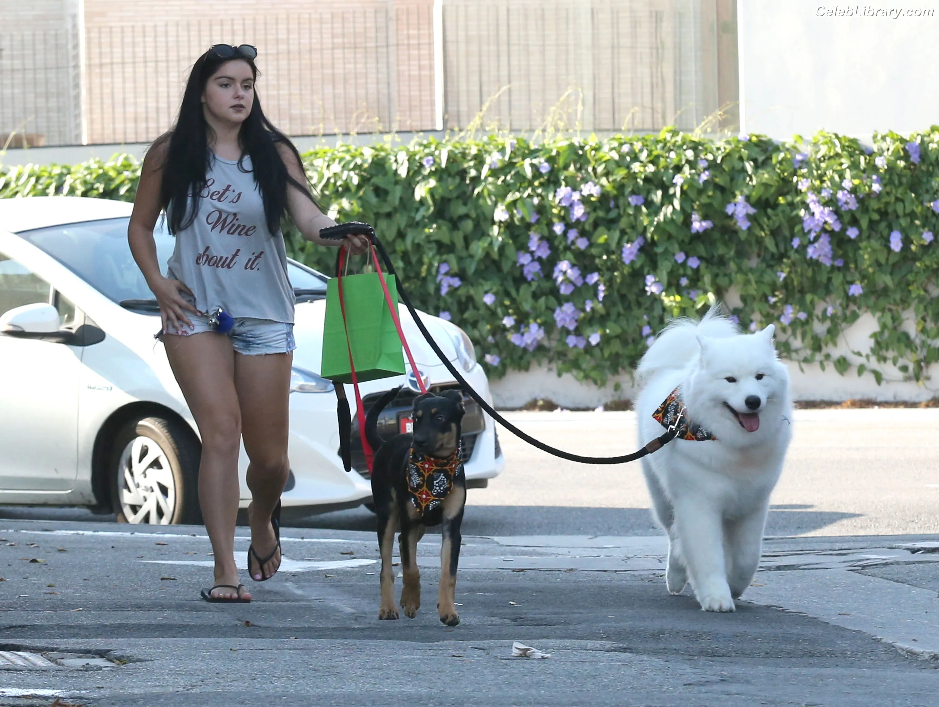 Ariel Winter photo 2 of 993