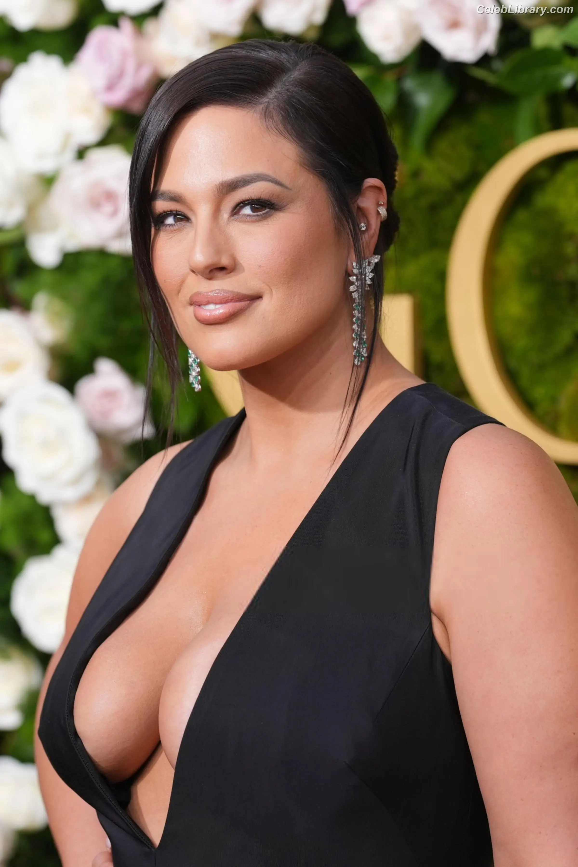 Ashley Graham photo 17 of 423