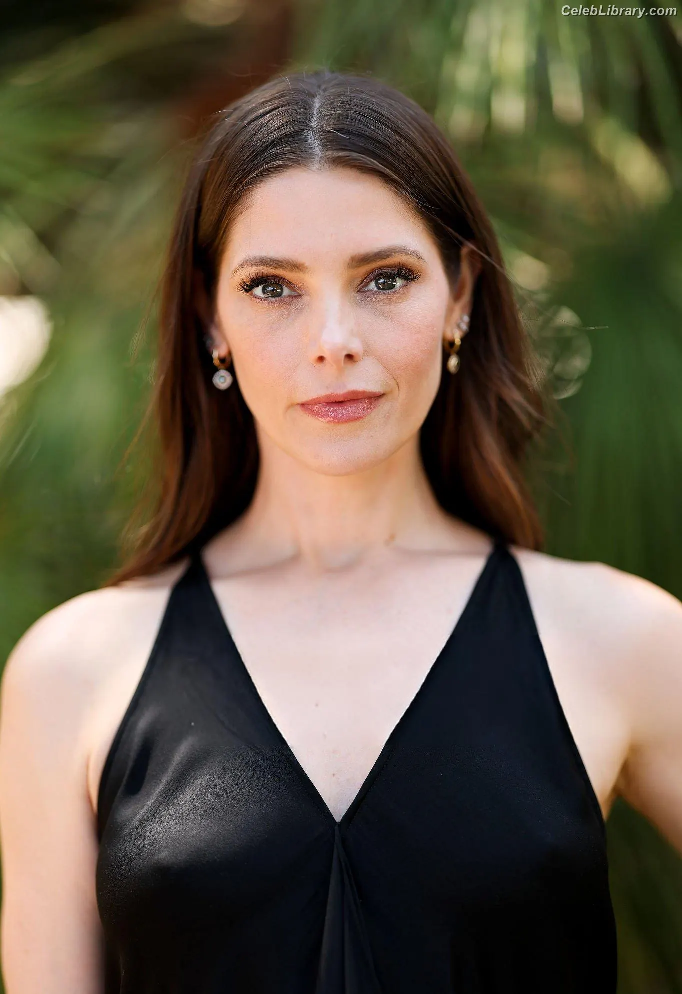 Ashley Greene photo 2 of 212