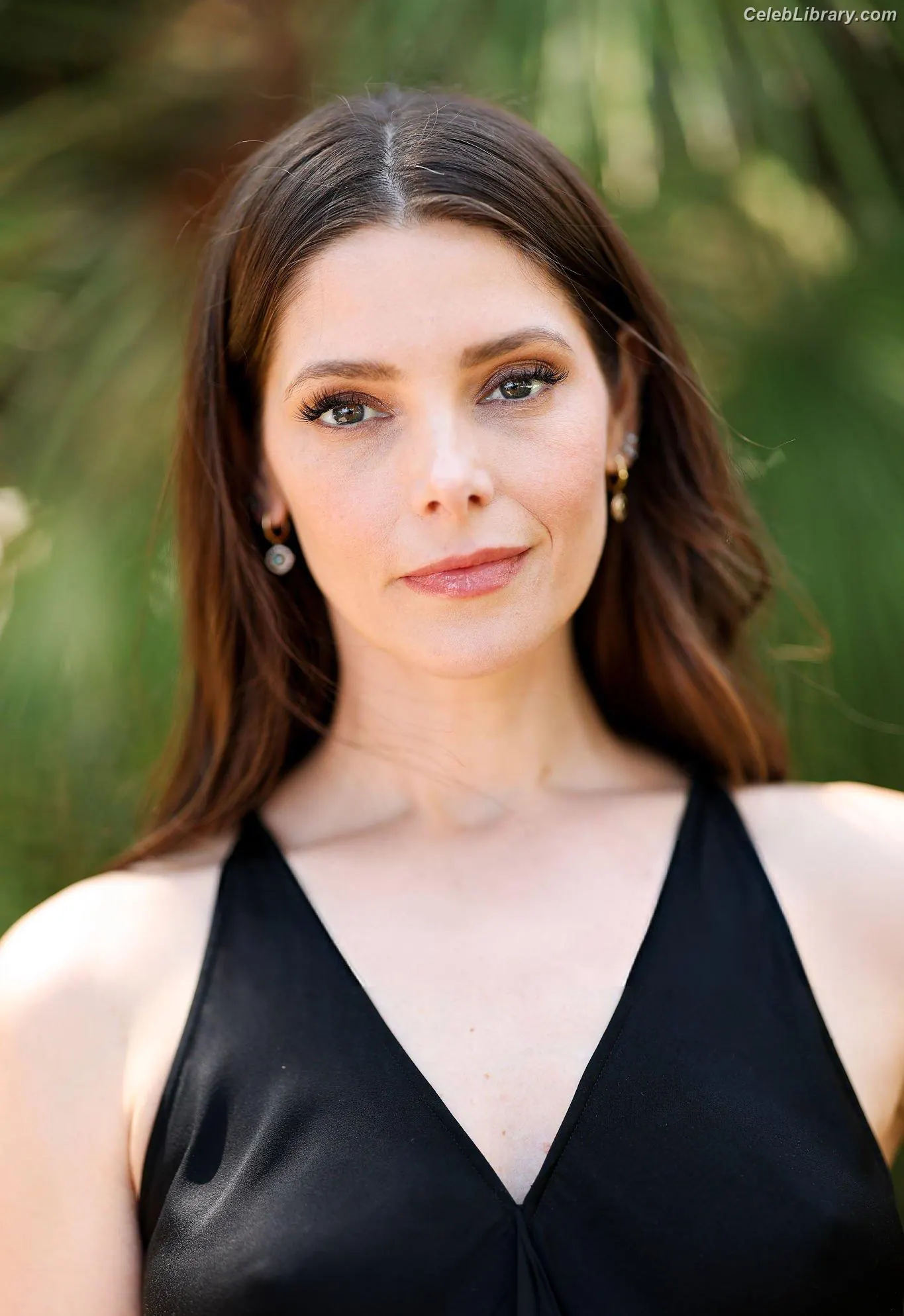 Ashley Greene photo 9 of 212